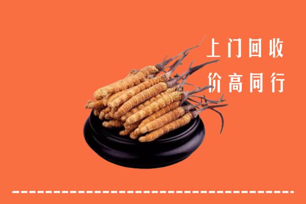 高价求购：紫金县回收散虫草