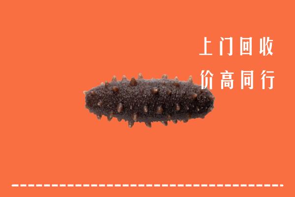 高价求购：紫金县回收海参