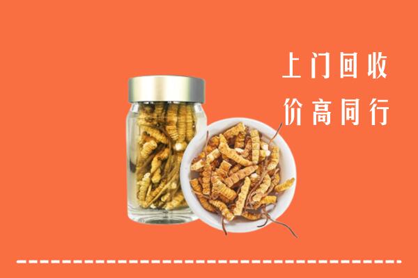 紫金县回收冬虫夏草