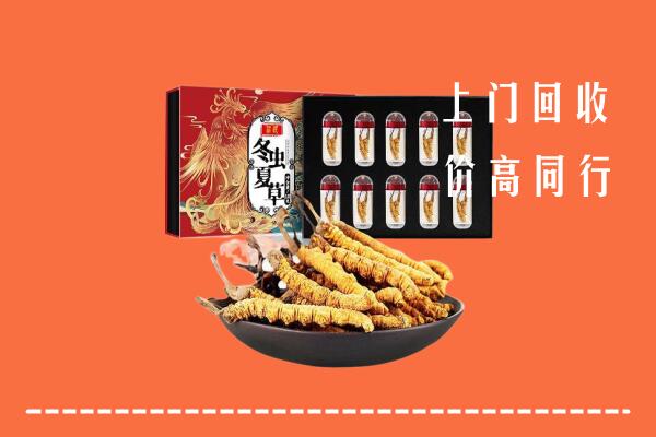 紫金县回收虫草